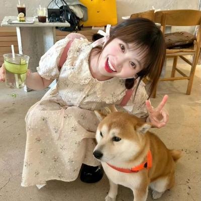 令人讨厌的松子的一生